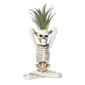 Yoga skeleton succulent decor